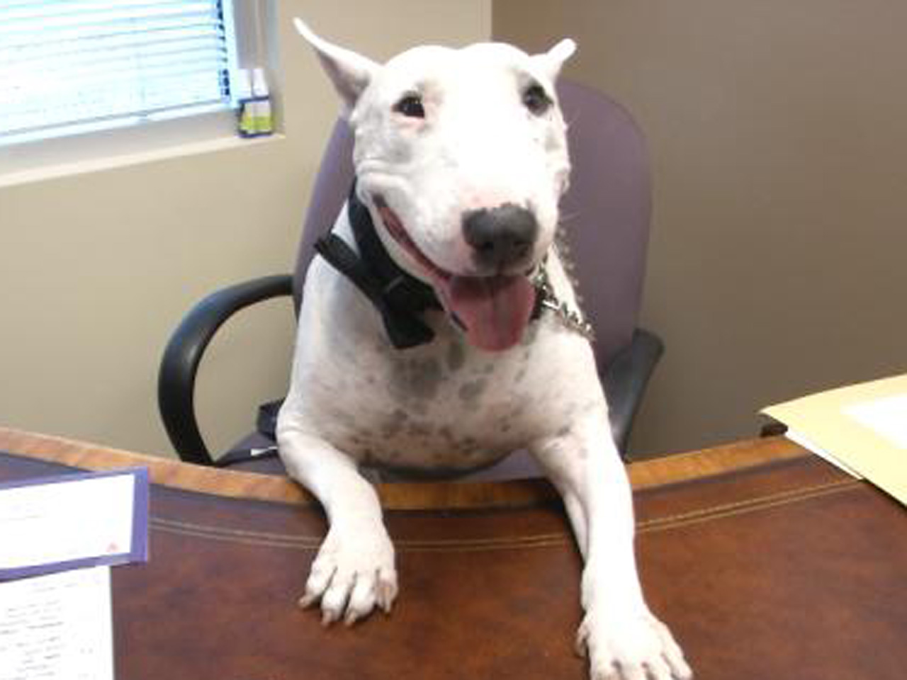 Walter would love for you to fill out this form and provide us with useful data!